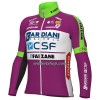 Fietskleding (Fietsshirt Lange Mouw + Lange Koersbroek) 2022 Bardiani-CSF Faizane - Lila Groen